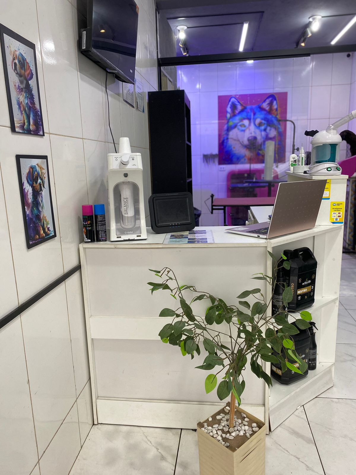 Recepção do Espaço Pet com balcão branco e área de tosa ao fundo
