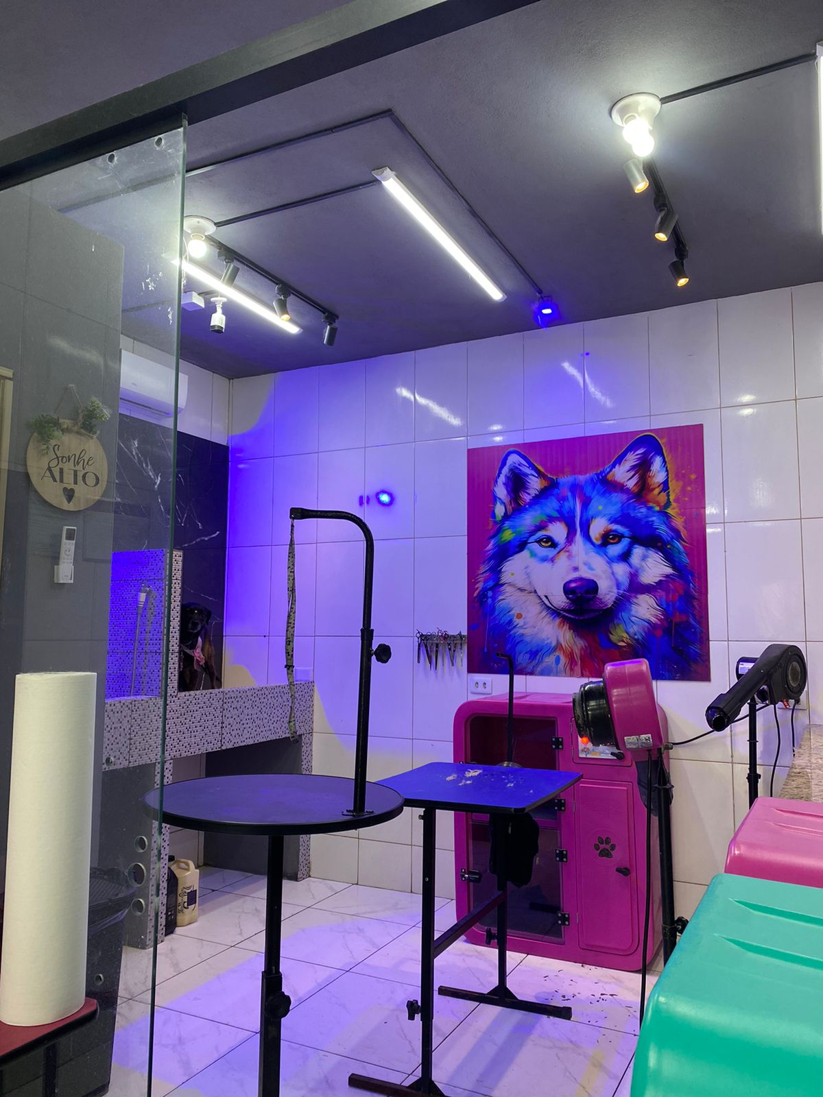Visão geral do espaço com iluminação roxa, secador e painel do lobo